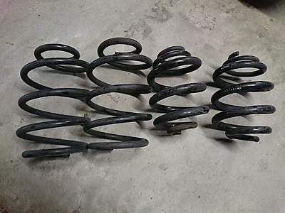 T5 Eibach lowering springs up for grabs..-dsc_0350-jpg