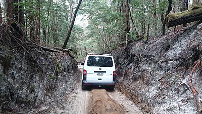 Fraser Island Trip Report-dsc_5100-jpg