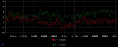 2.0 FSI Poor idle when cold-stft_2-jpg