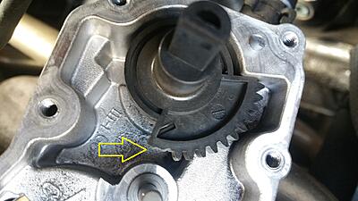 EGR problems....again!!!-egr-broken-half-wheel-2-jpg