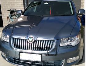 Show of your Superb Pictures.-skoda-grilled-jpg