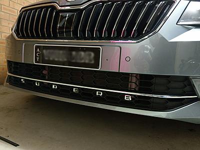 Not so Keen on Skoda Grille-front-teeth-jpg