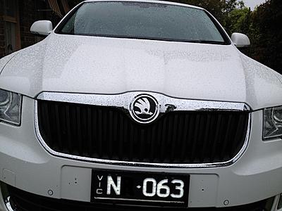 The New All Chrome Skoda Badge on newer models-img_0279-jpg