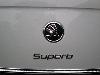 The New All Chrome Skoda Badge on newer models-img_0280-jpg