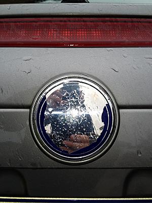 The New All Chrome Skoda Badge on newer models-img_0276-jpg