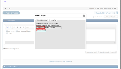 Voice Control and Speech - Issues and Questions-pic-paste_3-png