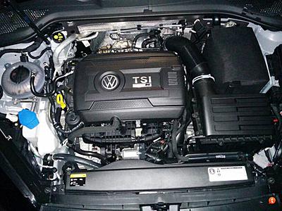 Mk7 Golf R Discussion Thread-golfr_mk7_missingintakecover-jpg