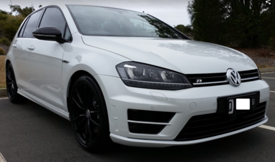 Mk7 Golf R Discussion Thread-wolf-01-png