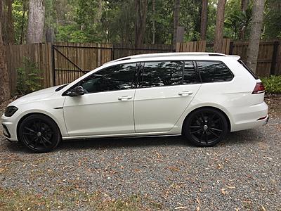 The Official Mk7 Wheel Thread-img_0010-jpg