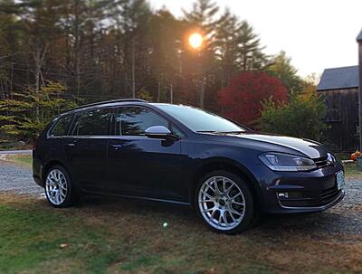 The Official Mk7 Wheel Thread-wags2-jpg