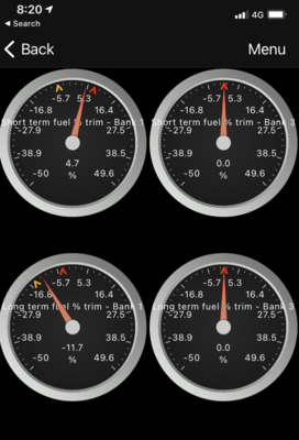 VCDS (VAG-COM) codes and programmable options for Golf Mk7-fuel-trim-png