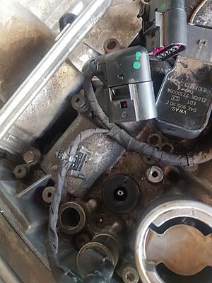 Removing coil packs-20210608_141437-jpg