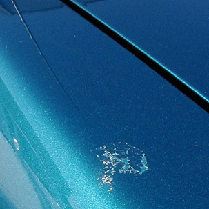 Bonnet Paint Blemish-droppings01-jpg