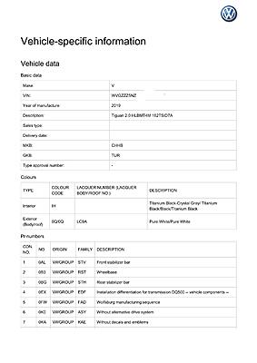 Option Codes Decoder-001_our-tiguan-full-data-jpg