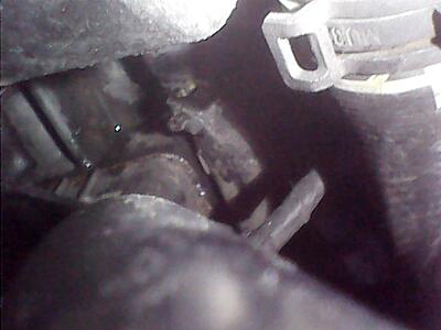 Help with coolant leak location - possibly oil cooler housing-coolant-leak-4-jpg