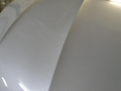 Wolfsburgh pearl white - chips on bonnet-bonnet2-jpg