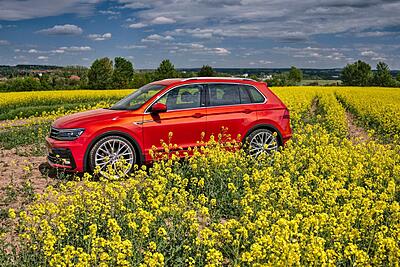 Gen 2 Tiguan Wheels Thread-32214922_1917495481658380_1844543111938703360_o-22x9-5-245-30-r22-jpg