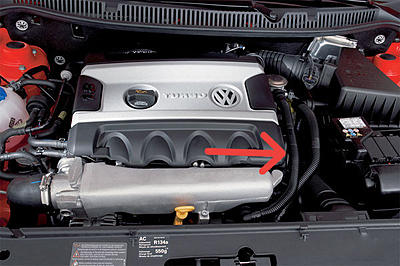 WTB: SAI Hose for a 2006 Polo GTI 1.8 - Part No: 06A131127G-2006-volkswagen-polo-gti-3-jpg