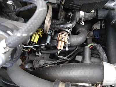 Where is this oil leaking from?-dsc04843c-jpg