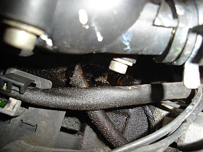 Where is this oil leaking from?-dsc04841c-jpg