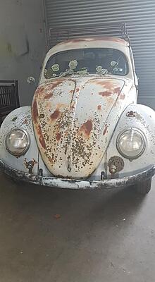 Project Type 82e - '55 Beetle Base - Bringing Back this Bug to Life :-)-100770719_10219597012908041_3794882731645599744_n-jpg