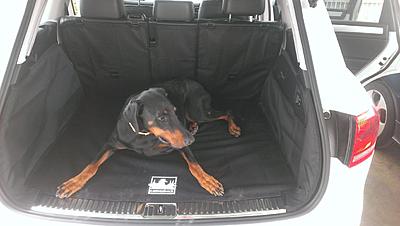 Cargo liner-image-jpg