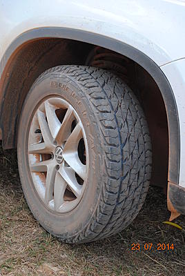 Advice on tyres - Off road tyres.-tig-tyre-laura-jpg