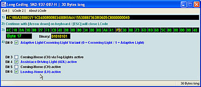 Tiguan VCDS Coding Options-9-central-electronics-coming-leaving-home-jpg