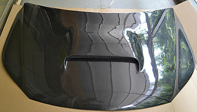 Tiguan Carbon Fibre Hood-811382678_579-jpg